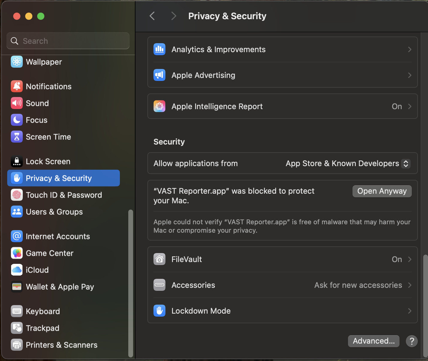 Step — System Settings Privacy & Security showing Open Anyway button